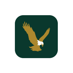 Gold eagle on green background