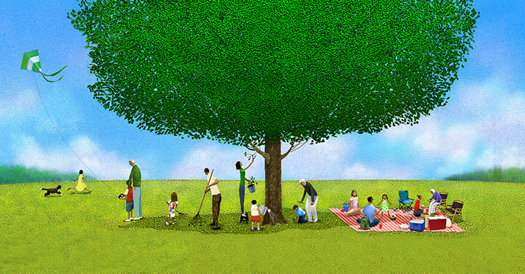 Children playing under a tree