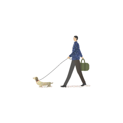 Dog and Walker